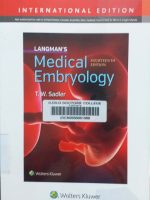 Medical Embryology