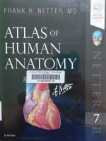 Atlas of Human Anatomy