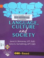 Language, Culture & Society